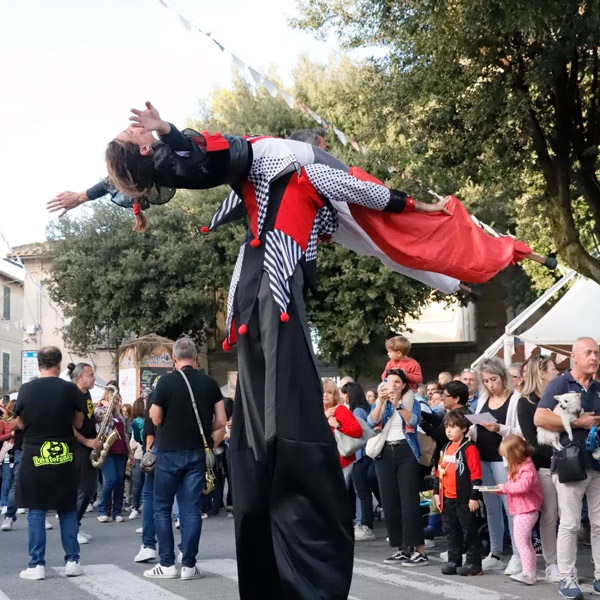 Trampoli acrobatici